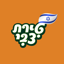 טירת צבי